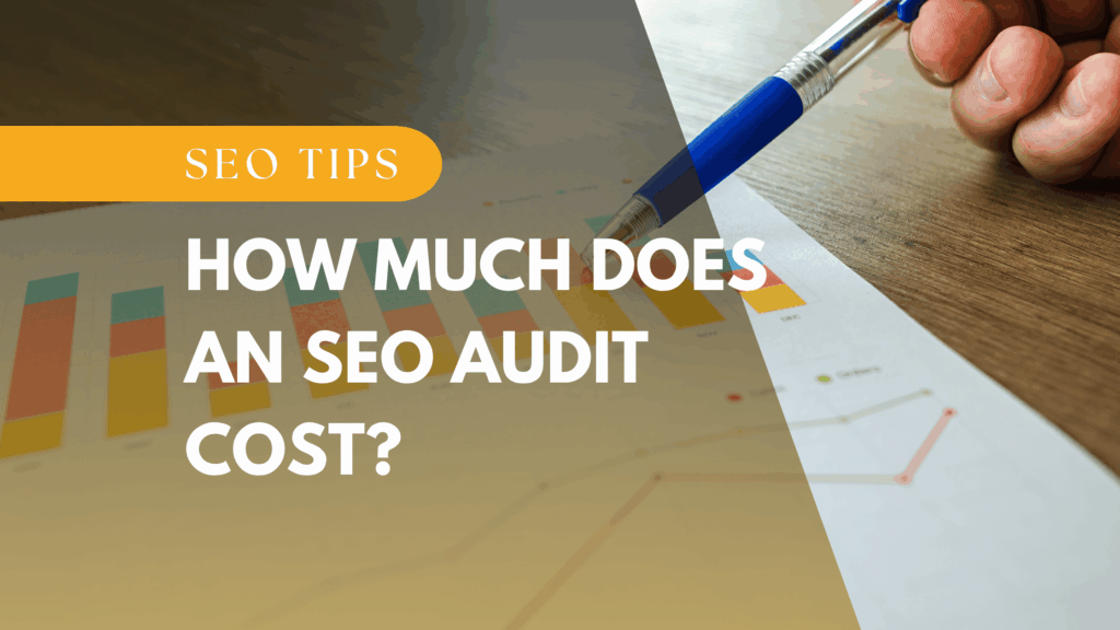 SEO Audit Cost